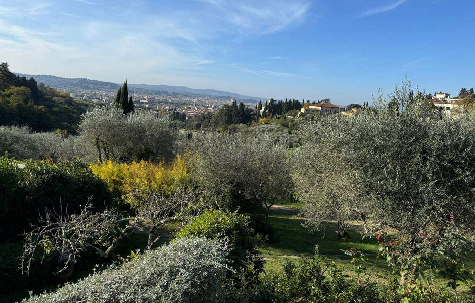Extravirgin Olive Oil